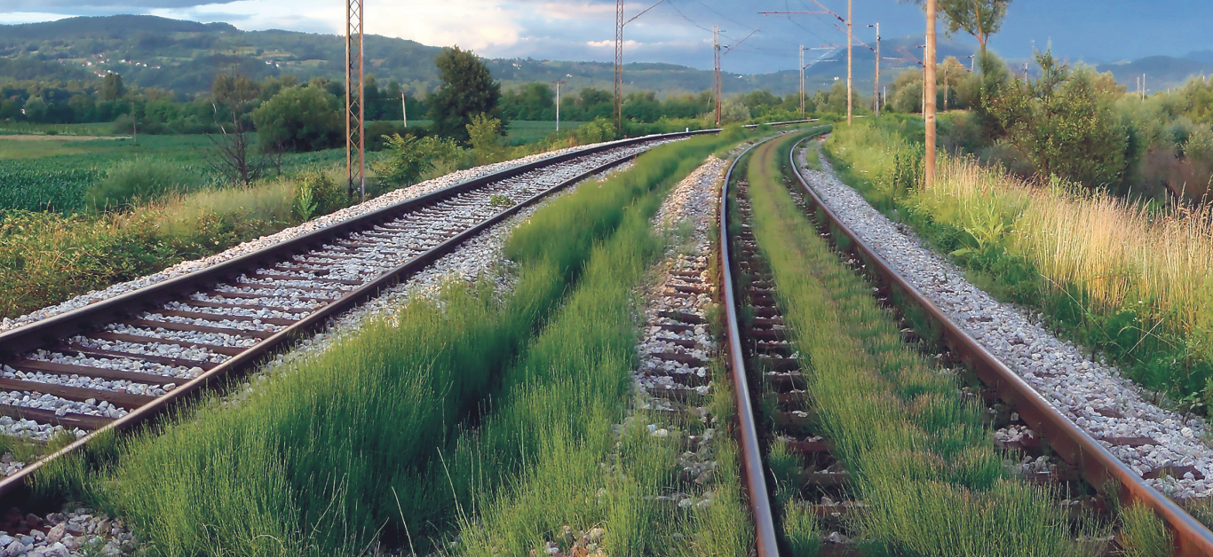 Railway Vegetation Management